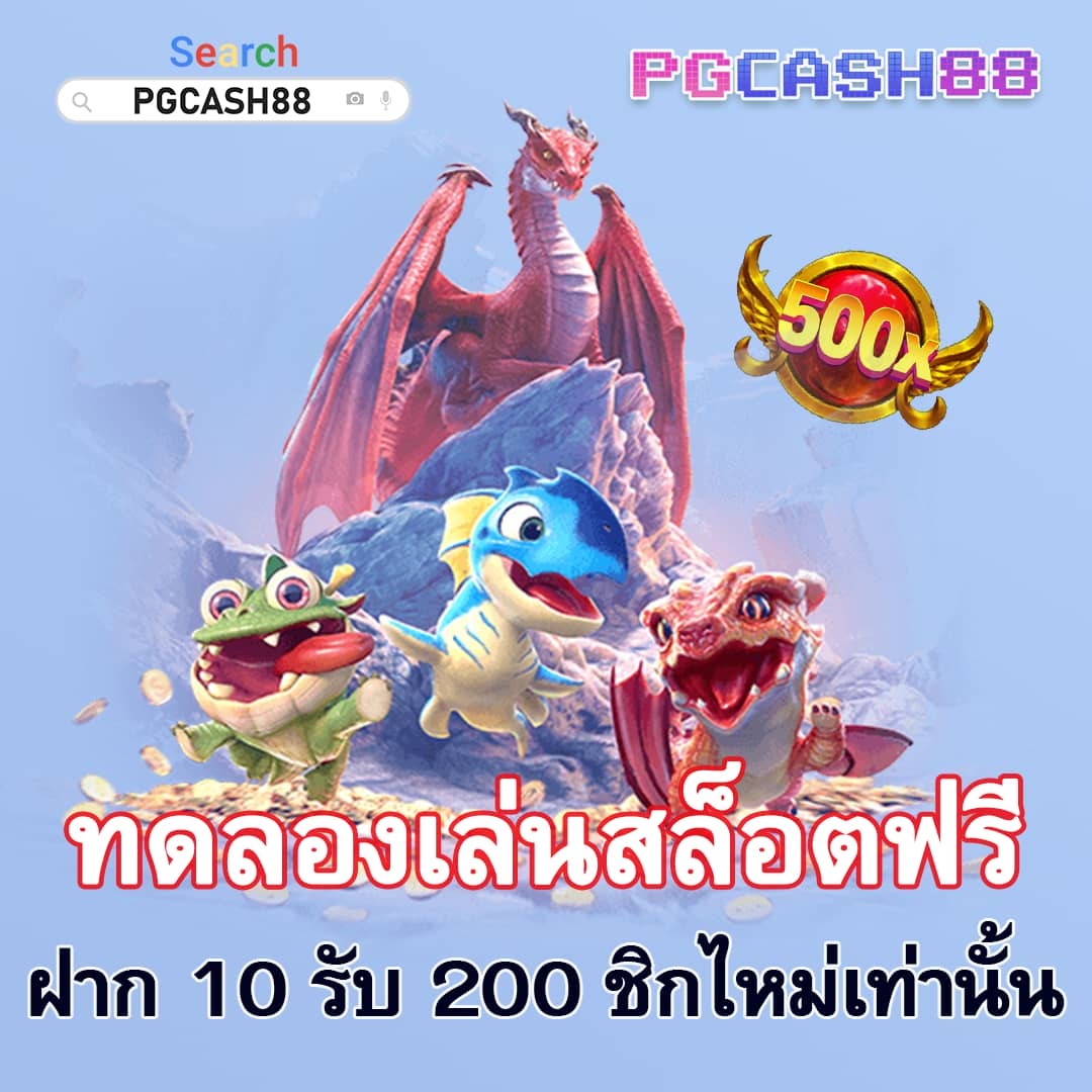 เวปล็อตโต้